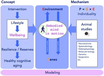 Embodied Prevention